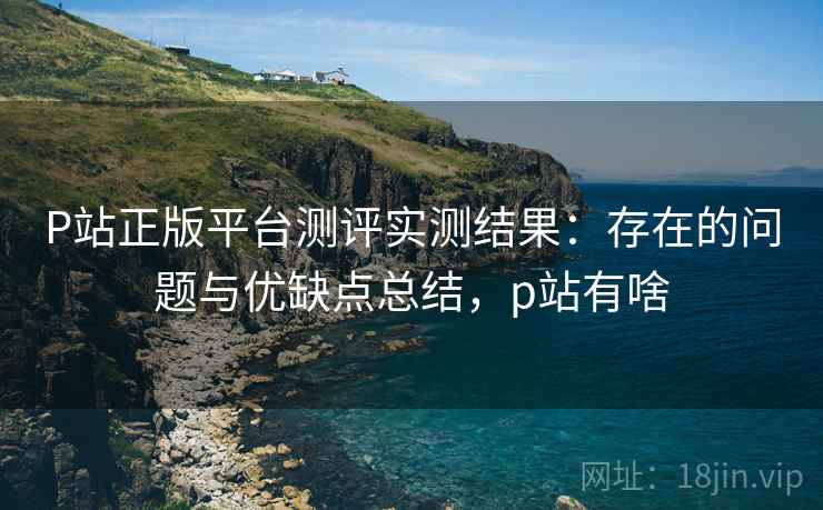P站正版平台测评实测结果：存在的问题与优缺点总结，p站有啥