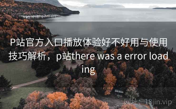 P站官方入口播放体验好不好用与使用技巧解析，p站there was a error loading