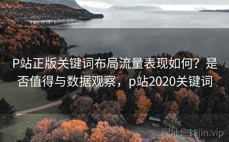 P站正版关键词布局流量表现如何？是否值得与数据观察，p站2020关键词