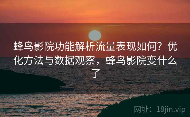 蜂鸟影院功能解析流量表现如何？优化方法与数据观察，蜂鸟影院变什么了