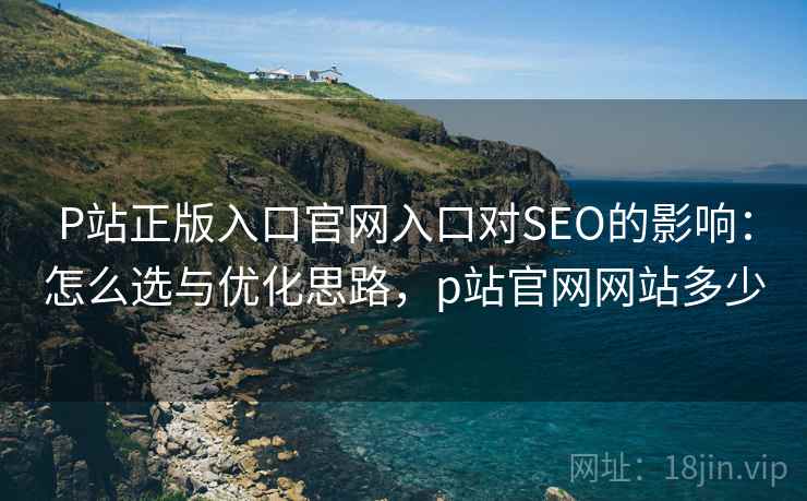 P站正版入口官网入口对SEO的影响：怎么选与优化思路，p站官网网站多少