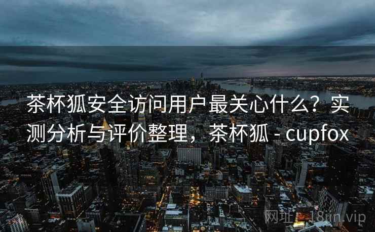 茶杯狐安全访问用户最关心什么？实测分析与评价整理，茶杯狐 - cupfox