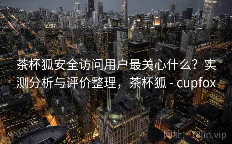 茶杯狐安全访问用户最关心什么？实测分析与评价整理，茶杯狐 - cupfox