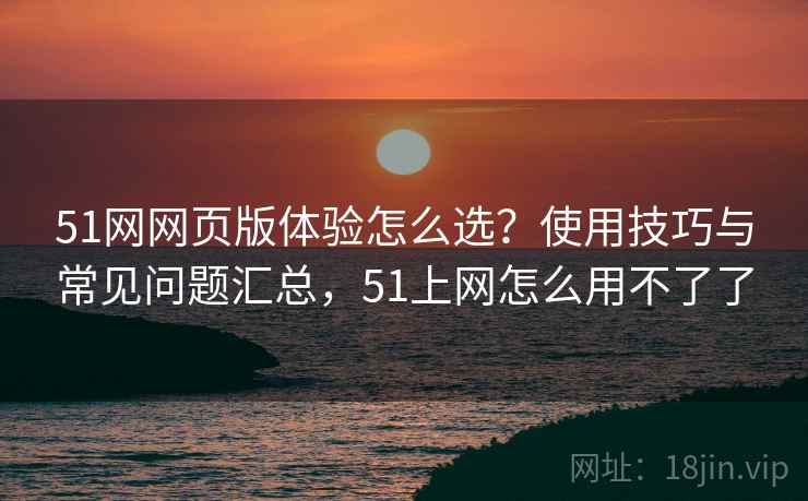 51网网页版体验怎么选？使用技巧与常见问题汇总，51上网怎么用不了了
