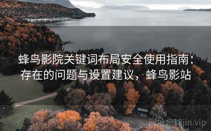 蜂鸟影院关键词布局安全使用指南：存在的问题与设置建议，蜂鸟影站