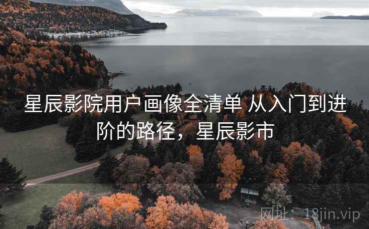 星辰影院用户画像全清单 从入门到进阶的路径，星辰影市