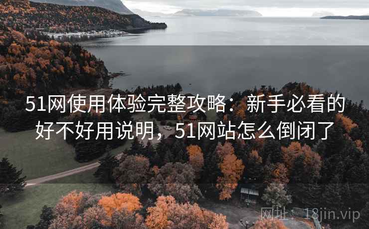 51网使用体验完整攻略：新手必看的好不好用说明，51网站怎么倒闭了
