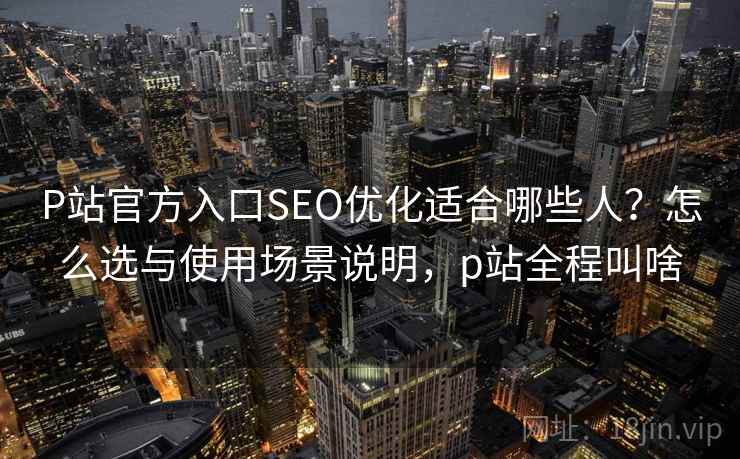 P站官方入口SEO优化适合哪些人？怎么选与使用场景说明，p站全程叫啥