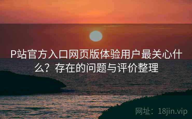 P站官方入口网页版体验用户最关心什么？存在的问题与评价整理