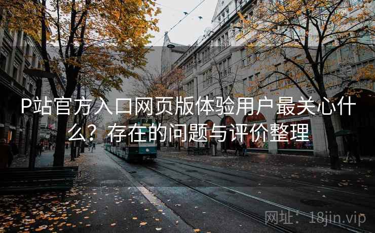 P站官方入口网页版体验用户最关心什么？存在的问题与评价整理