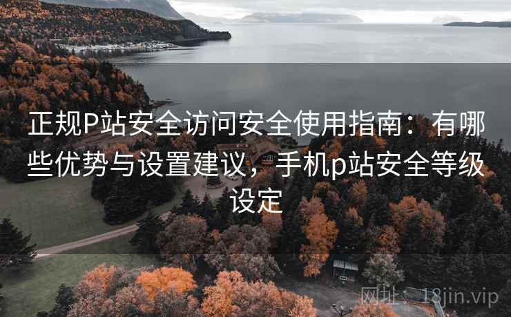 正规P站安全访问安全使用指南：有哪些优势与设置建议，手机p站安全等级设定