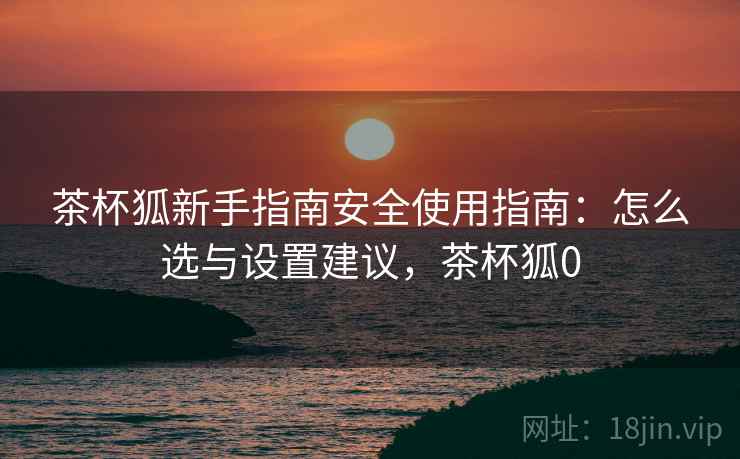 茶杯狐新手指南安全使用指南：怎么选与设置建议，茶杯狐0