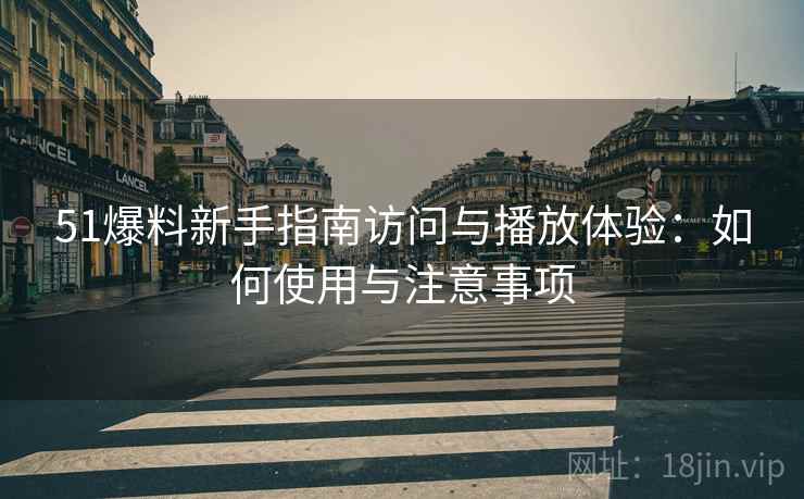 51爆料新手指南访问与播放体验：如何使用与注意事项