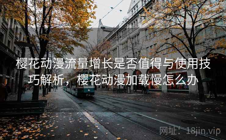 樱花动漫流量增长是否值得与使用技巧解析，樱花动漫加载慢怎么办