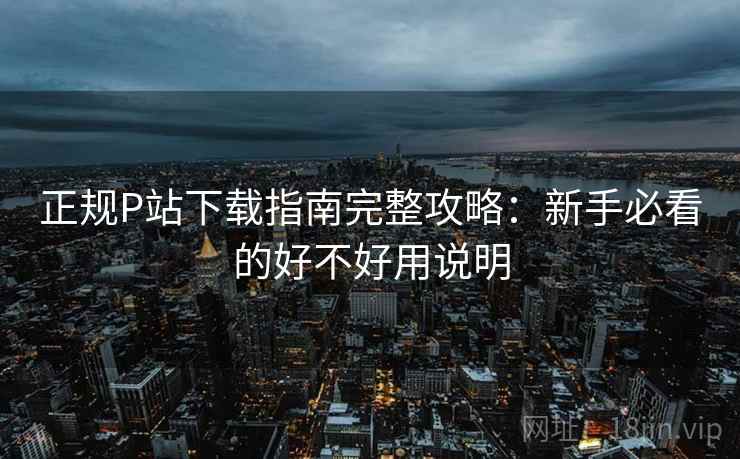 正规P站下载指南完整攻略：新手必看的好不好用说明