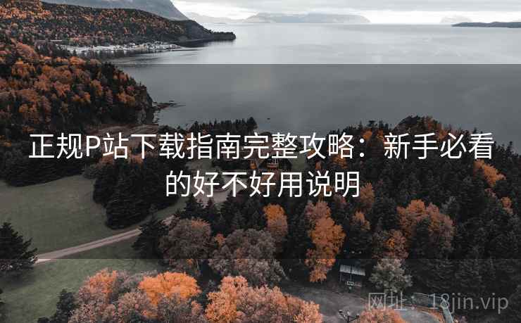 正规P站下载指南完整攻略：新手必看的好不好用说明