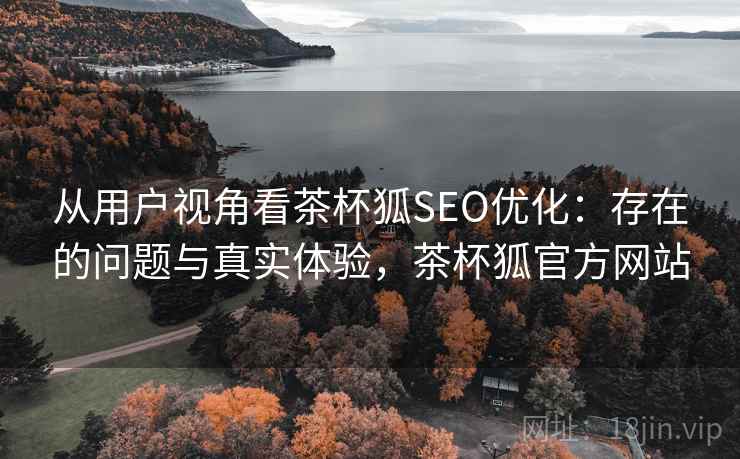 从用户视角看茶杯狐SEO优化：存在的问题与真实体验，茶杯狐官方网站