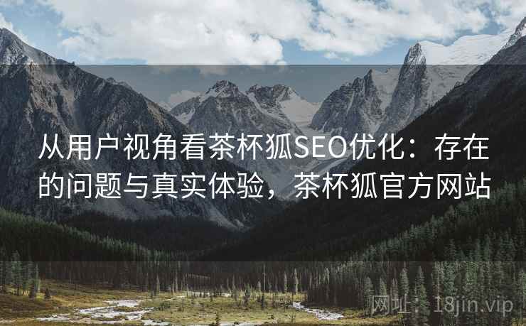 从用户视角看茶杯狐SEO优化：存在的问题与真实体验，茶杯狐官方网站