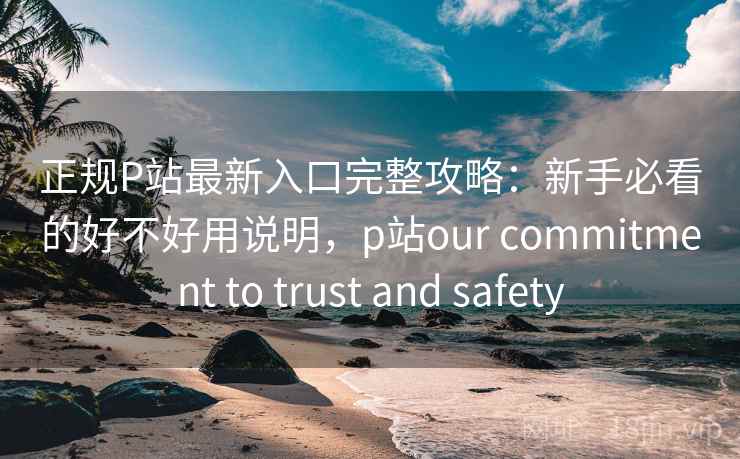 正规P站最新入口完整攻略：新手必看的好不好用说明，p站our commitment to trust and safety