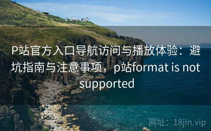 P站官方入口导航访问与播放体验：避坑指南与注意事项，p站format is not supported