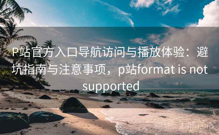 P站官方入口导航访问与播放体验：避坑指南与注意事项，p站format is not supported