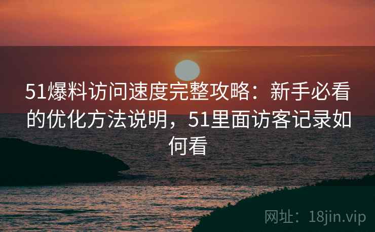 51爆料访问速度完整攻略：新手必看的优化方法说明，51里面访客记录如何看
