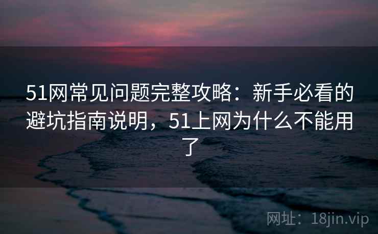 51网常见问题完整攻略：新手必看的避坑指南说明，51上网为什么不能用了