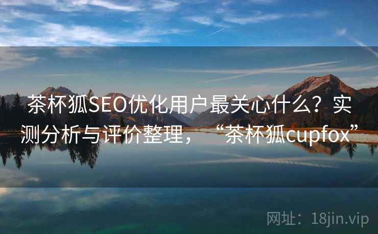 茶杯狐SEO优化用户最关心什么？实测分析与评价整理，“茶杯狐cupfox”