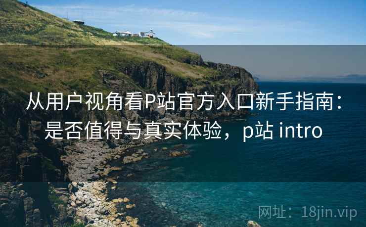 从用户视角看P站官方入口新手指南：是否值得与真实体验，p站 intro