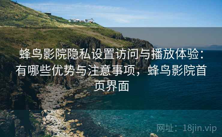 蜂鸟影院隐私设置访问与播放体验：有哪些优势与注意事项，蜂鸟影院首页界面