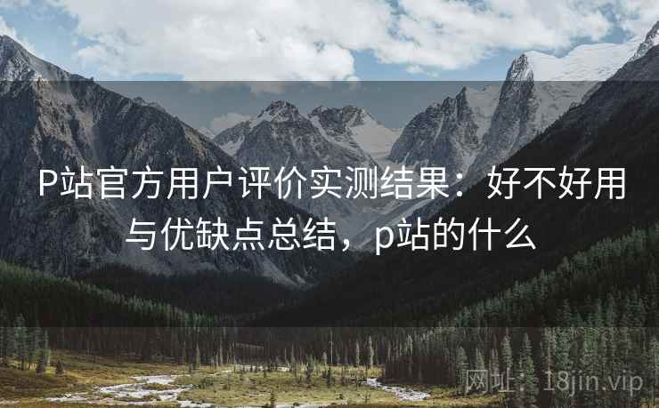 P站官方用户评价实测结果：好不好用与优缺点总结，p站的什么